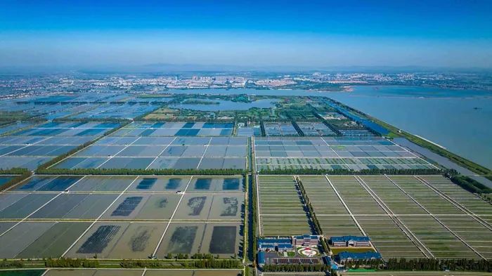 航拍高淳固城湖螃蟹核心區(qū)。高淳區(qū)融媒體中心供圖